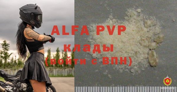 apvp Ленинградская