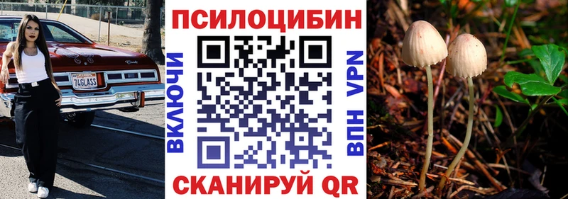Галлюциногенные грибы Cubensis  магазин продажи   omg зеркало  Баймак 